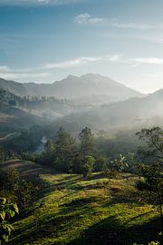 Misty hills in Guatemala by Studio Graber