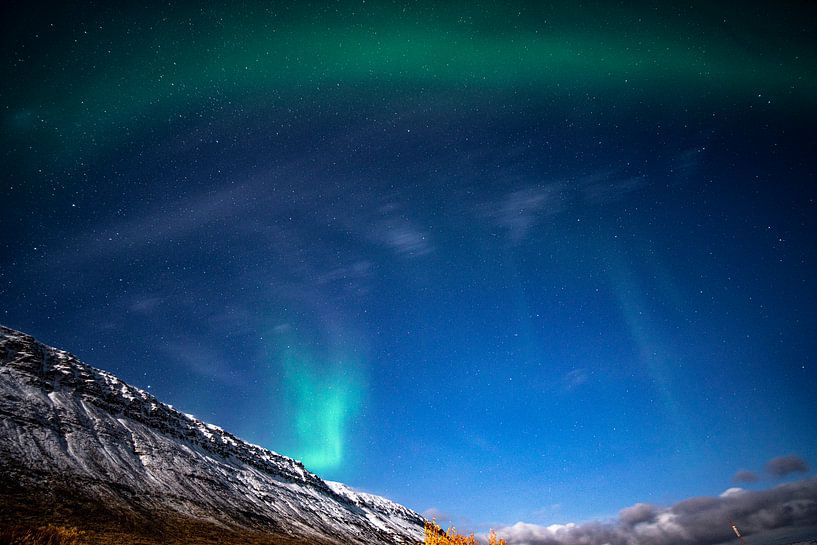 Grün-purpurne Nordlichter bei Mondschein in Island von John Ozguc