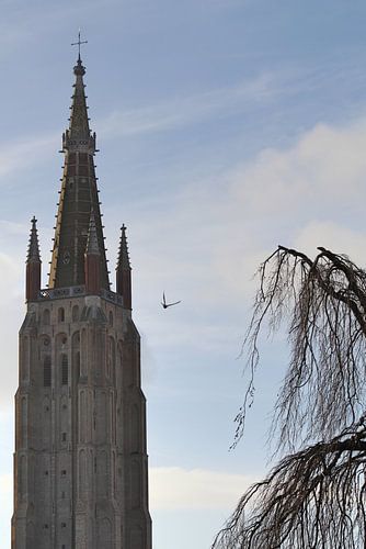 Lieve vrouwelijke duikvlucht