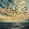 Vögel über dem Meer von vanMuis
