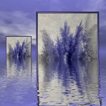 Gras in de spiegel van Isa Bild