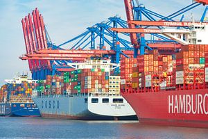 Containerschiffe mit angedockten Schiffscontainern im Hafen