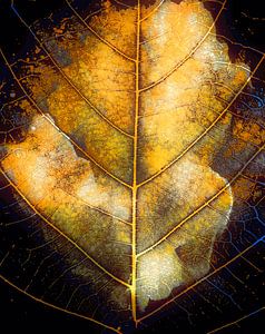 Goldener Herbst