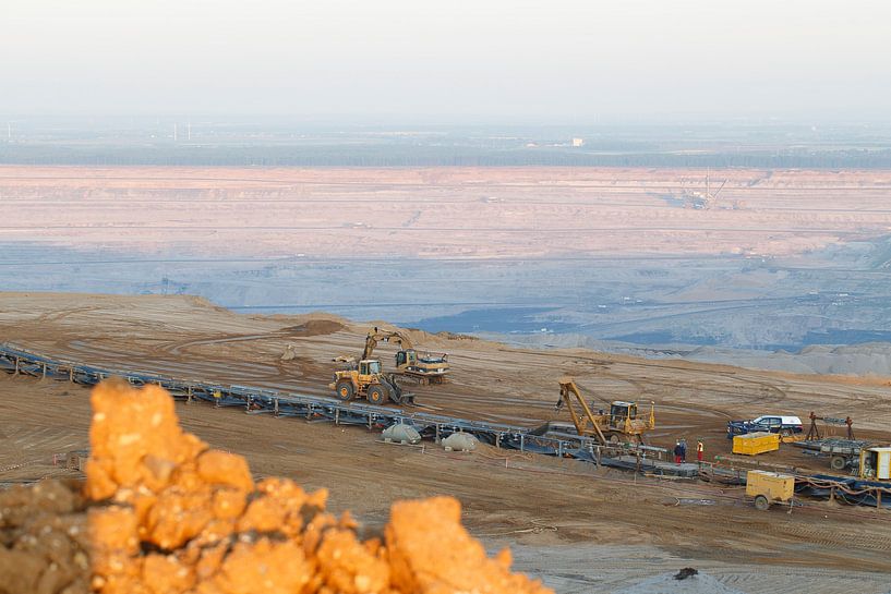 Hambach open pit weaners by Michael Baron