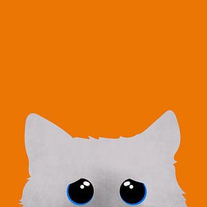 nieuwsgierige kat wit met blauwe ogen. van Bianca van Dijk