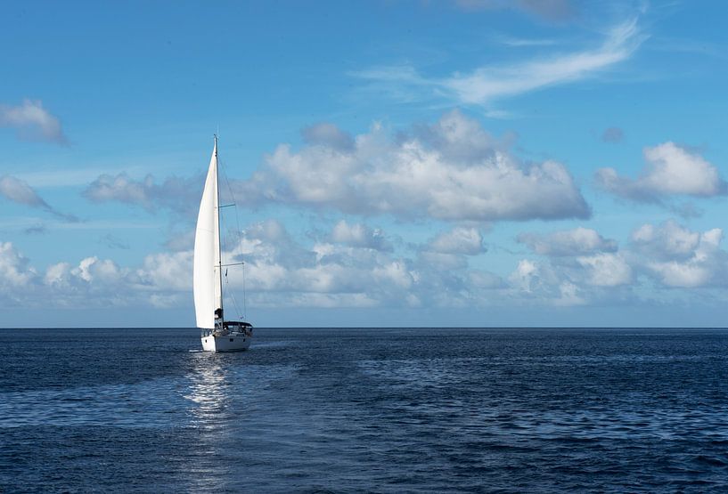 Entspannender Segeltörn auf der Karibik von Margot van den Berg