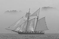 Tweemaster in de mist