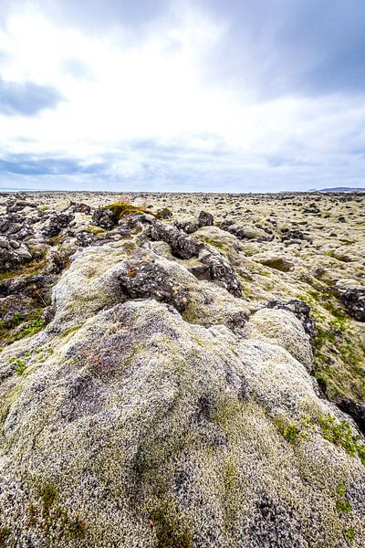 IJsland von Michiel van Druten