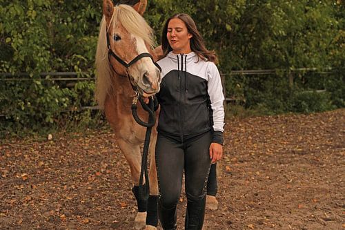 Fotoshoot met lichtbruine Haflinger met beige manen
