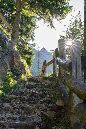 Hiking trail with steps on the way to the Gimpelhaus. Tannheimer valley.