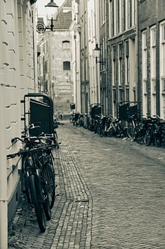 De Rij