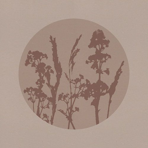 Japandi botanisch in neutraal beige en bruin. Wilde bloemen.