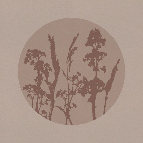 Japandi botanical in neutral beige and brown. Wild flowers. by Dina Dankers