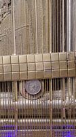 New Money System (Neue geldsystem)