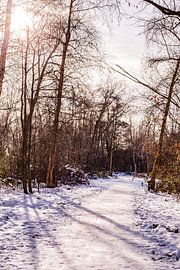 Hiver & Snow Oud Verlaat - Paysage n° 4 sur Deborah de Meijer
