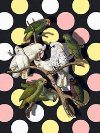 Amazon Perroquets von Marja van den Hurk