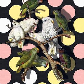 Amazon Perroquets von Marja van den Hurk