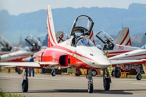 Northrop F-5E Tiger II der Patrouille de Suisse.