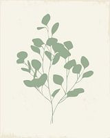 Eucalyptusblaadjes 1