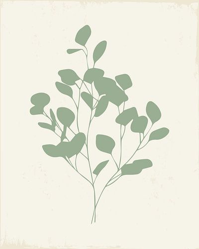Eukalytusblätter 1