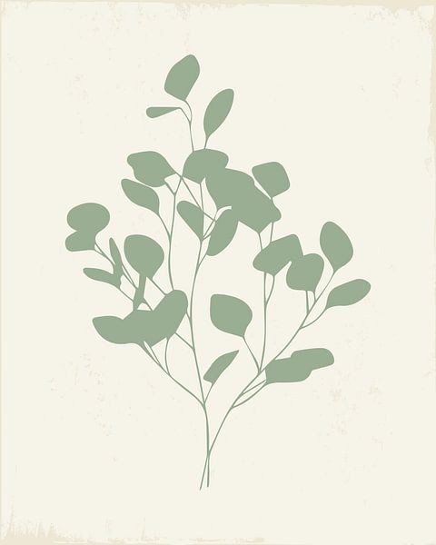 Feuilles d'eucalyptus 1 par Tanja Udelhofen