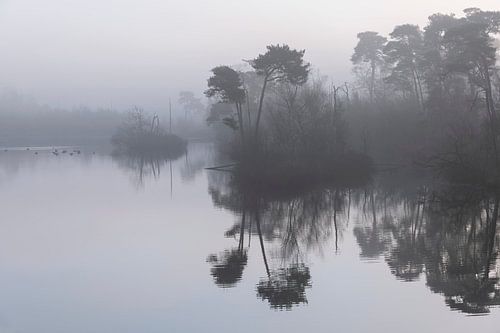 Mist en spiegeling