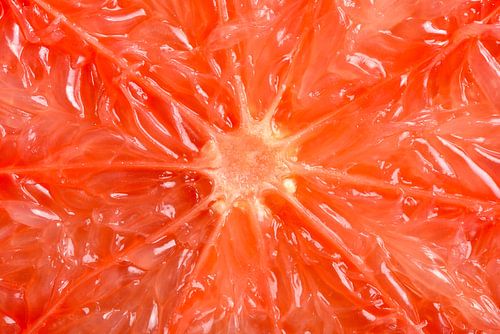 Dwarsdoornsede van een rode Grapefruit