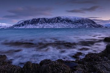Noord-Noorwegen - Bevroren Winter Wonderland van AylwynPhoto
