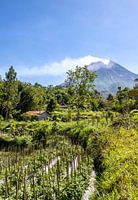 Farmhouse at the foot of a Volcano.