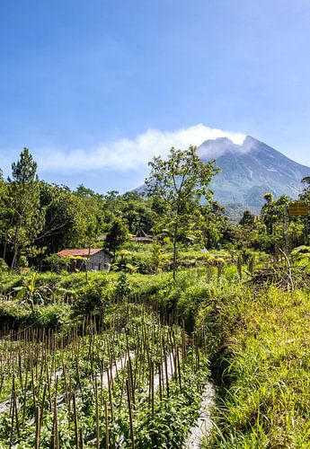 Boerderij aan de voet van een Vulkaan.