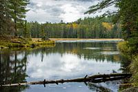 Algonquin Provincial Park in Ontario, Canada