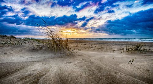 The Beach, December 2018