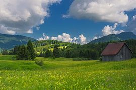 Tannheimer Tal - Tirol