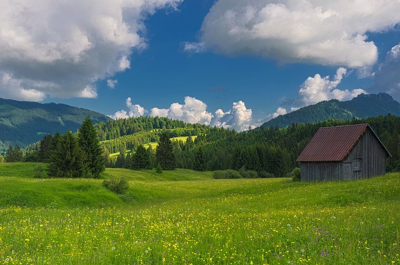 Tirol Austria - Tannheimer Tal by Steffen Gierok