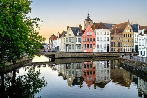 Spinolarei Brugge ochtendopname