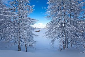 Winterzauber auf der Lackenalm