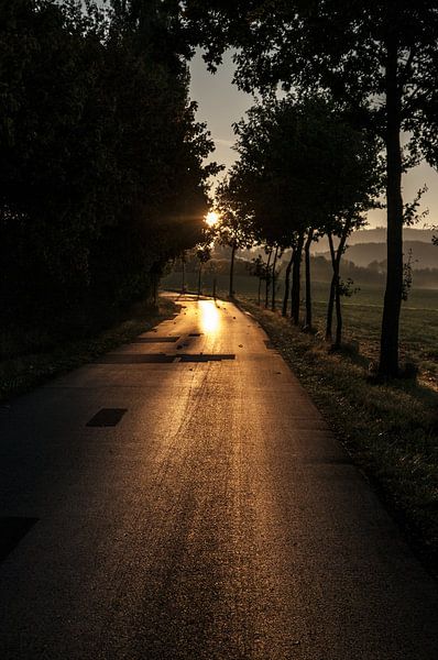 de gouden weg van Norbert Sülzner