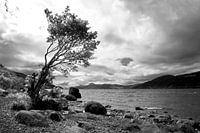 Loch Ness