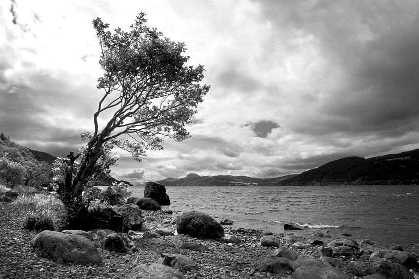 Loch Ness by Annick Cornu