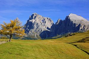 Herbst am Langkofel