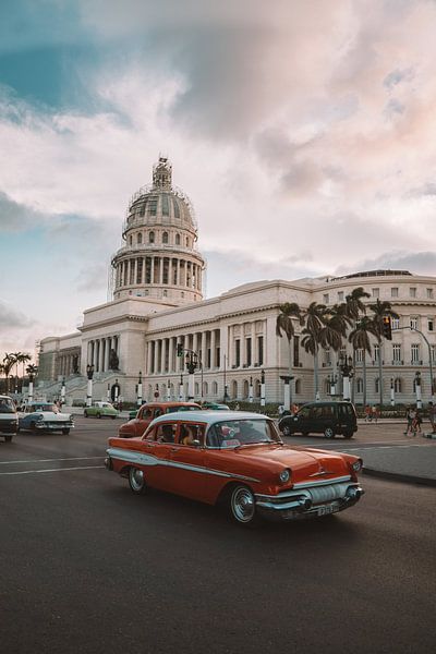 Havana by Hello Pompoyo