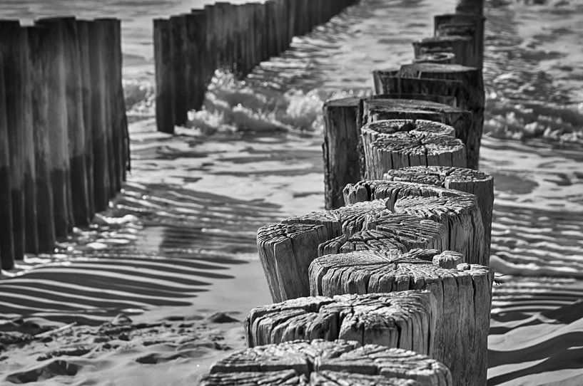 Pole Heads in Haamstede von Zeeland op Foto