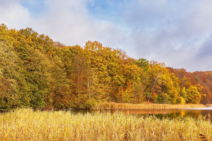 Blick auf den Haussee in der Feldberger Seenlandschaft von Rico Ködder