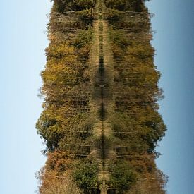 Beim Wandern in Oirschot mit dem Herbst von Angela Kiemeneij