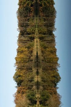 Beim Wandern in Oirschot mit dem Herbst