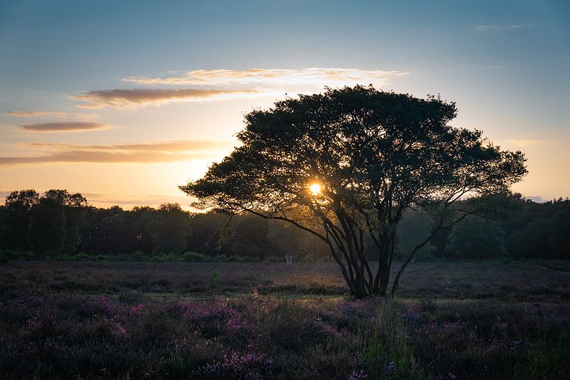 Zonsondergang op de Westerheide van Tashina van Zwam