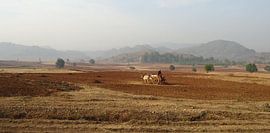 Back to basic, Myanmar von Antal van Lierop