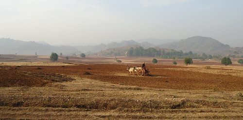 Back to basic, Myanmar