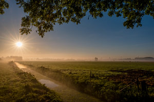 Zonsopkomst Ommerenveld