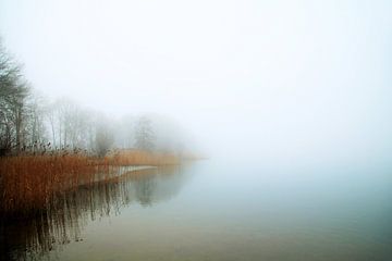Misty Lake by Sem Viersen